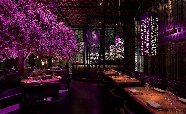 Tattu Manchester