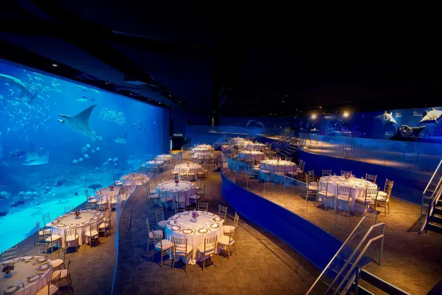 Singapore Oceanarium