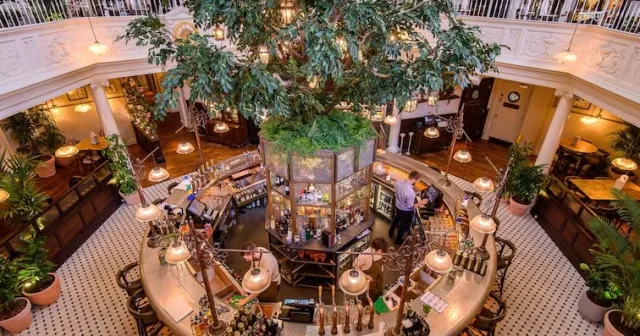The Botanist