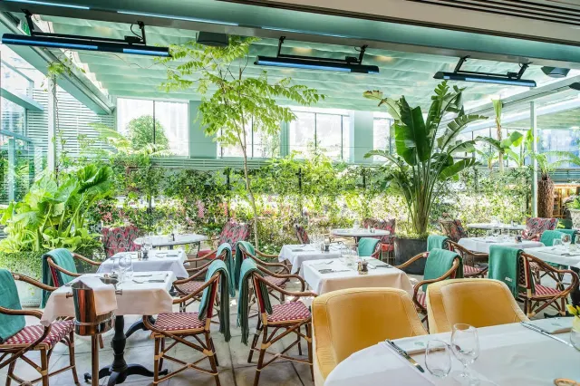 The Ivy City Garden