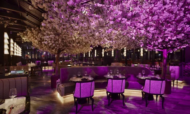 Tattu London
