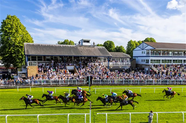 Royal Windsor Racecourse