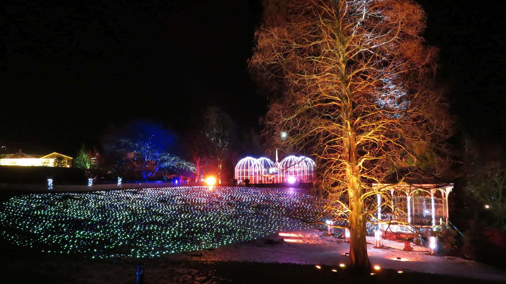 Birmingham Botanical Gardens