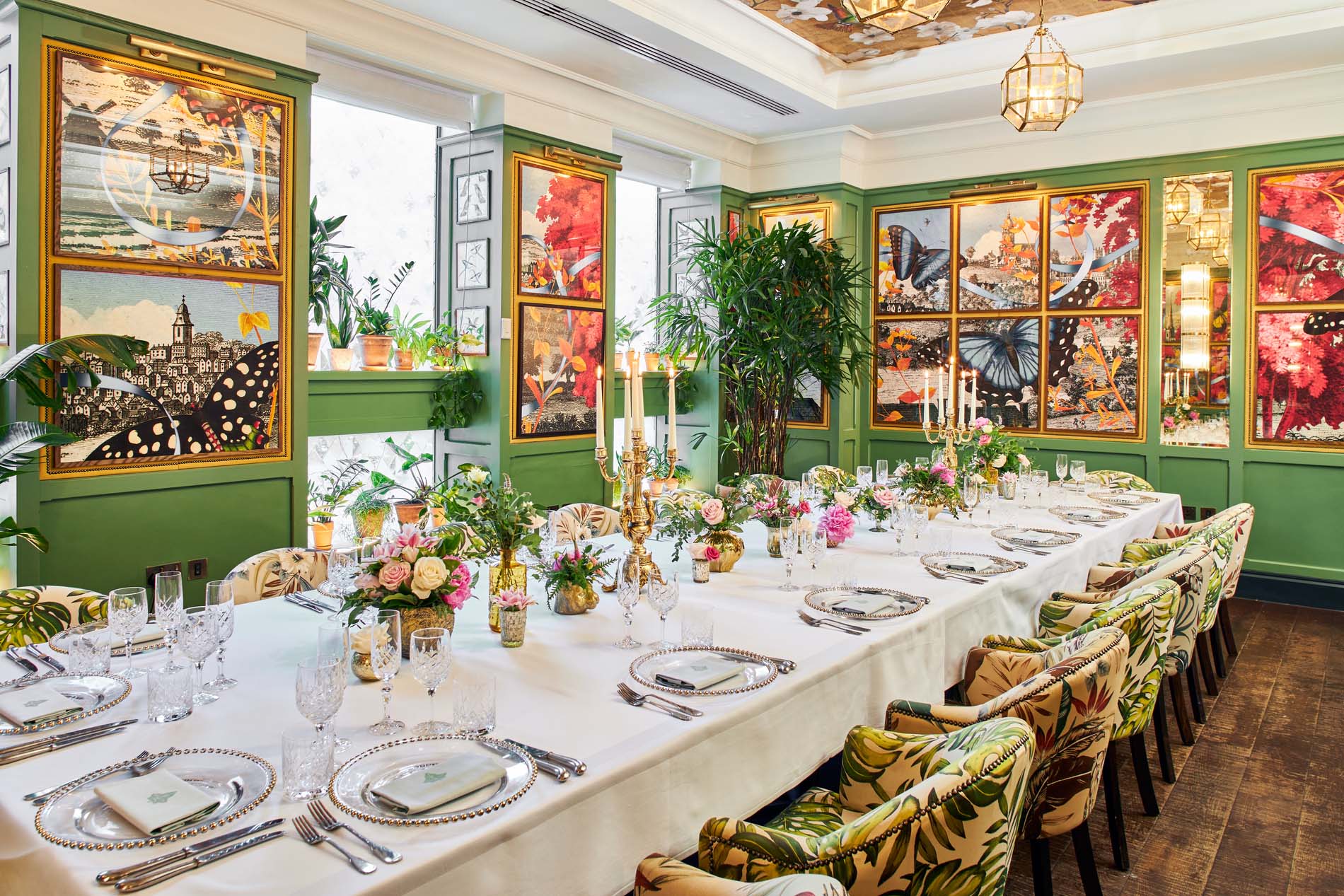 The Ivy Collection