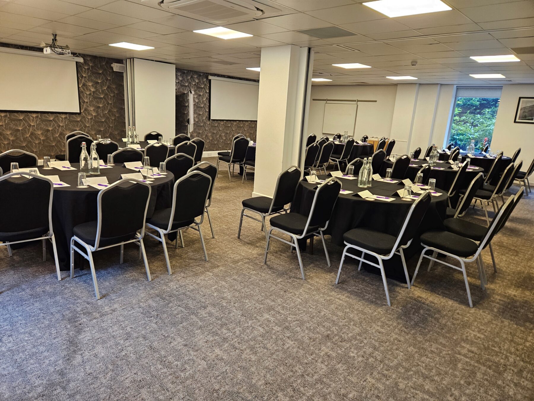 Pendulum Hotel, Graphene Suite