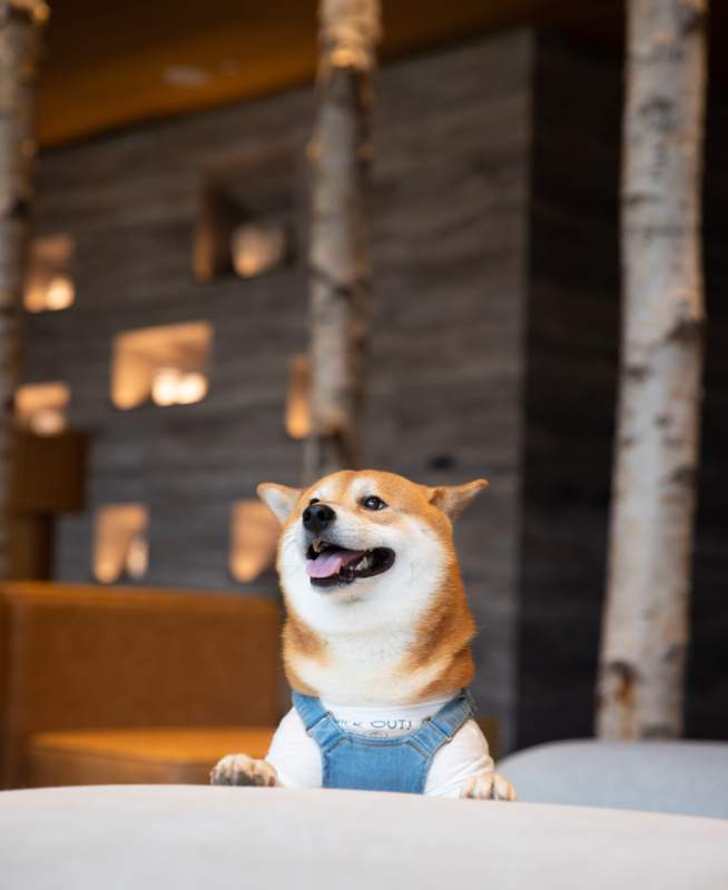 1 Hotel Mayfair
