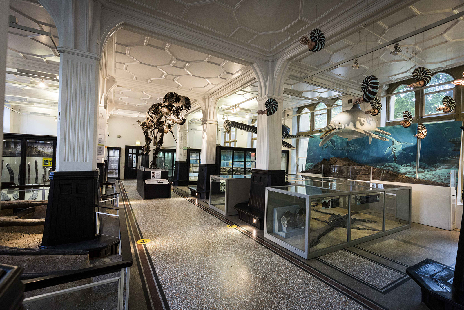 Manchester Museum