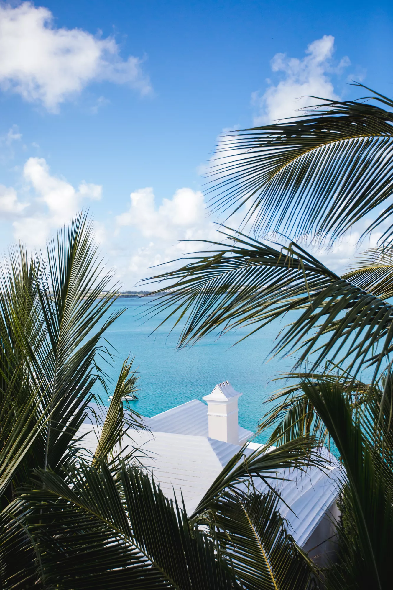 Rosewood Bermuda