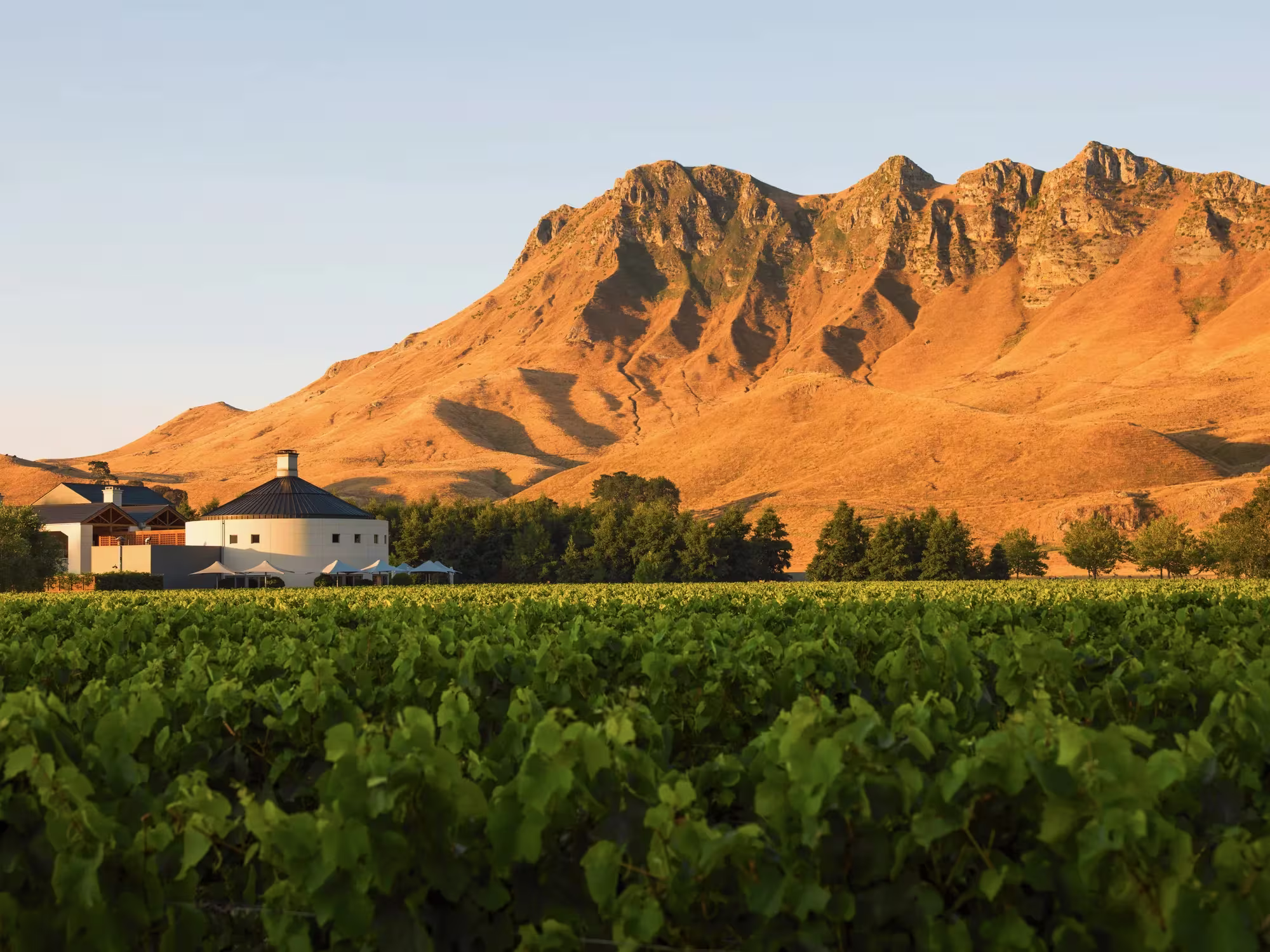 Rosewood Cape Kidnappers