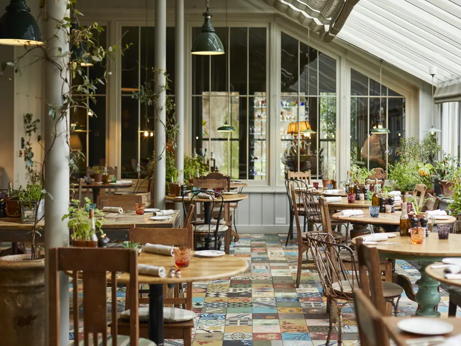 THE PIG in the New Forest