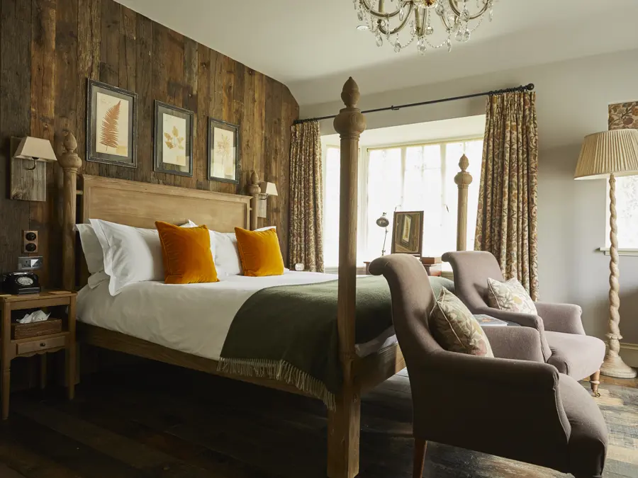 THE PIG in the New Forest