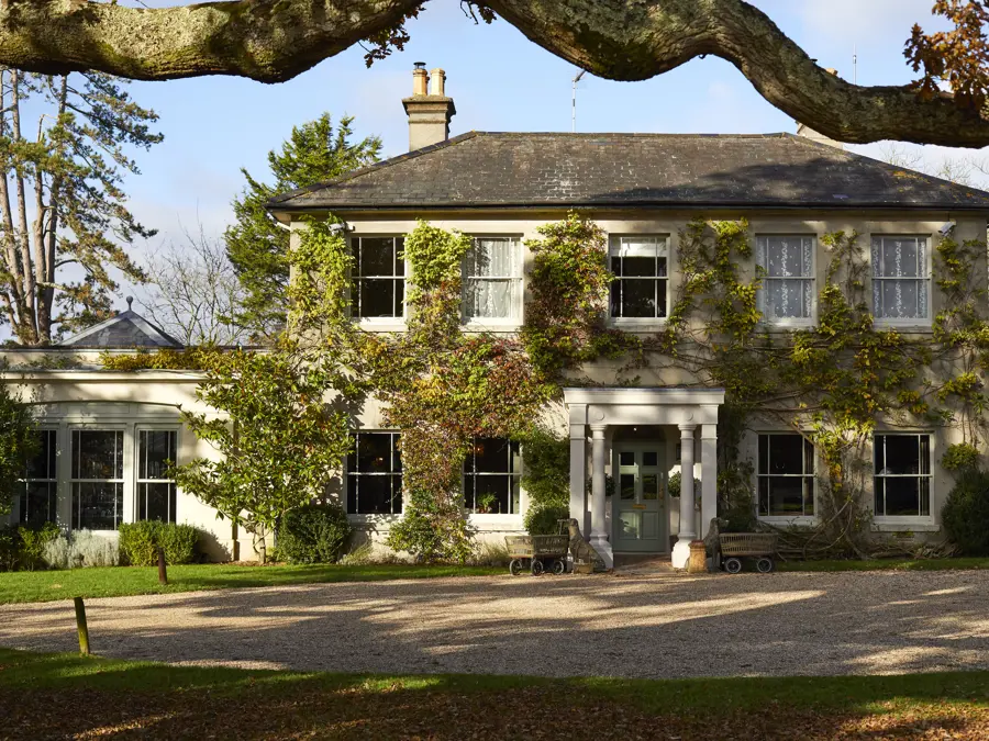 THE PIG in the New Forest