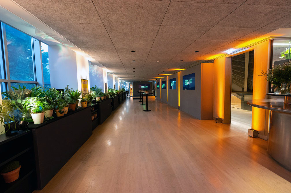 Design Museum