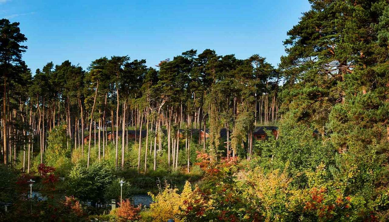 Center Parcs Woburn Forest