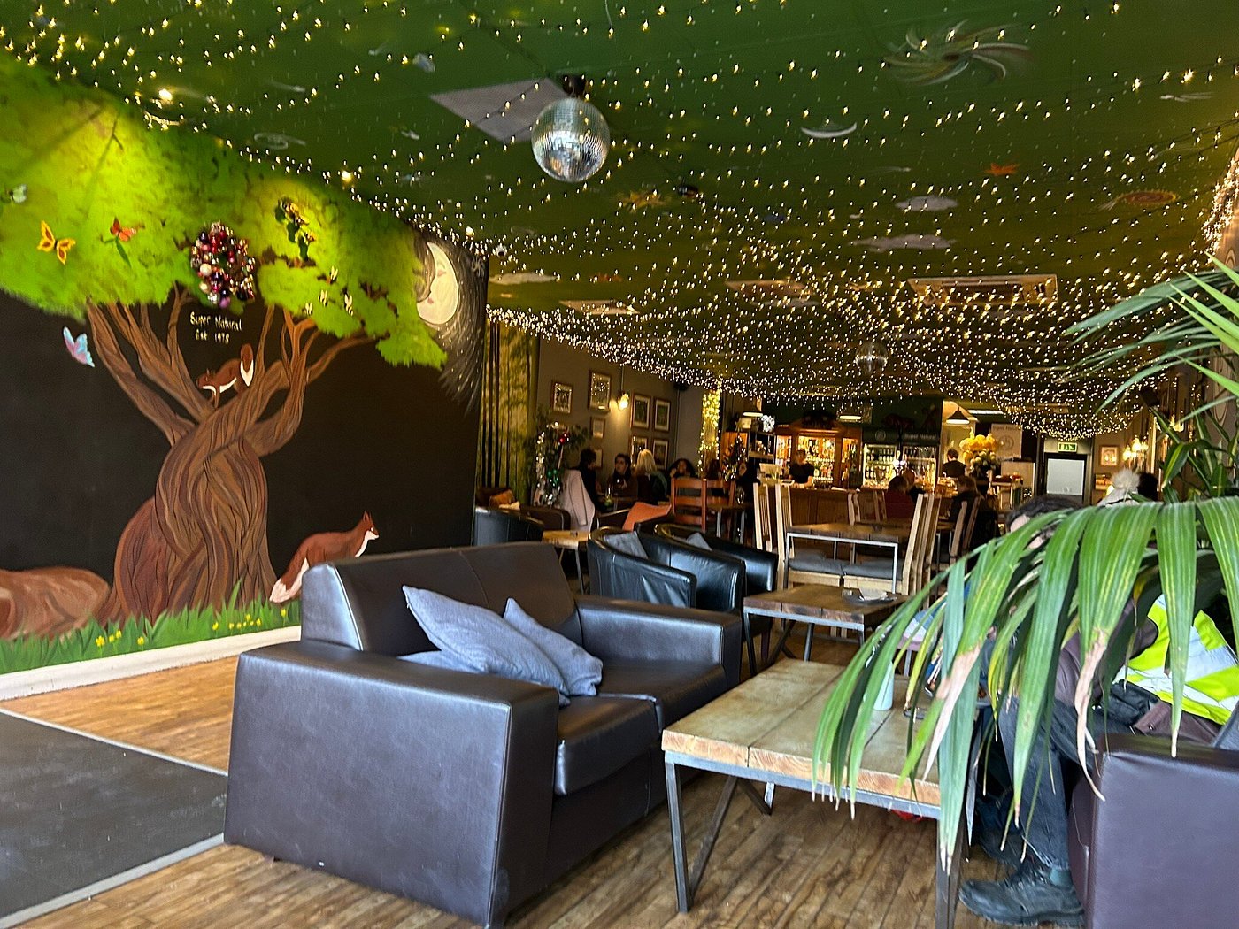 Super Natural Cafe
