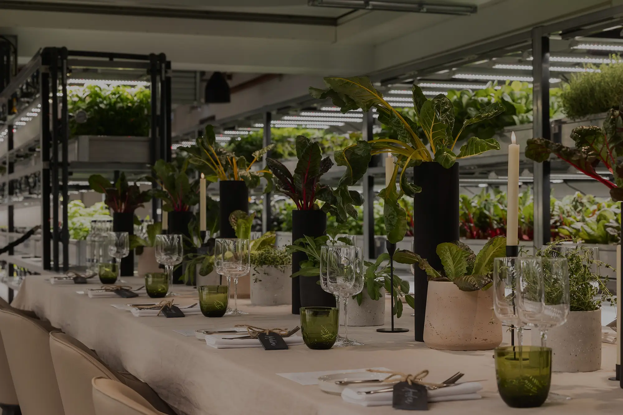 The Orangery TCR