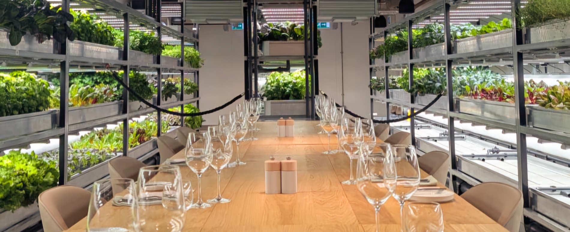 The Orangery TCR