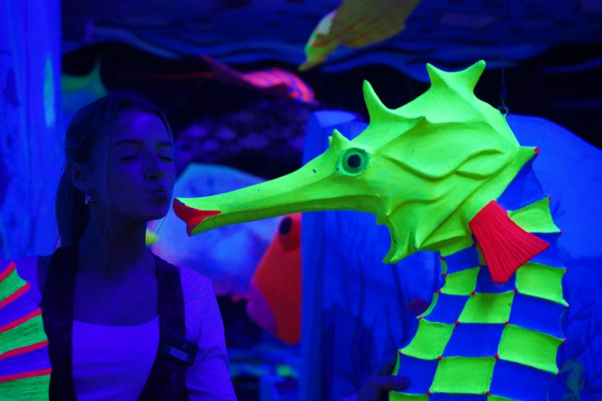 GLOBALLS Brighton - UV Mini Golf & Games, Activity space