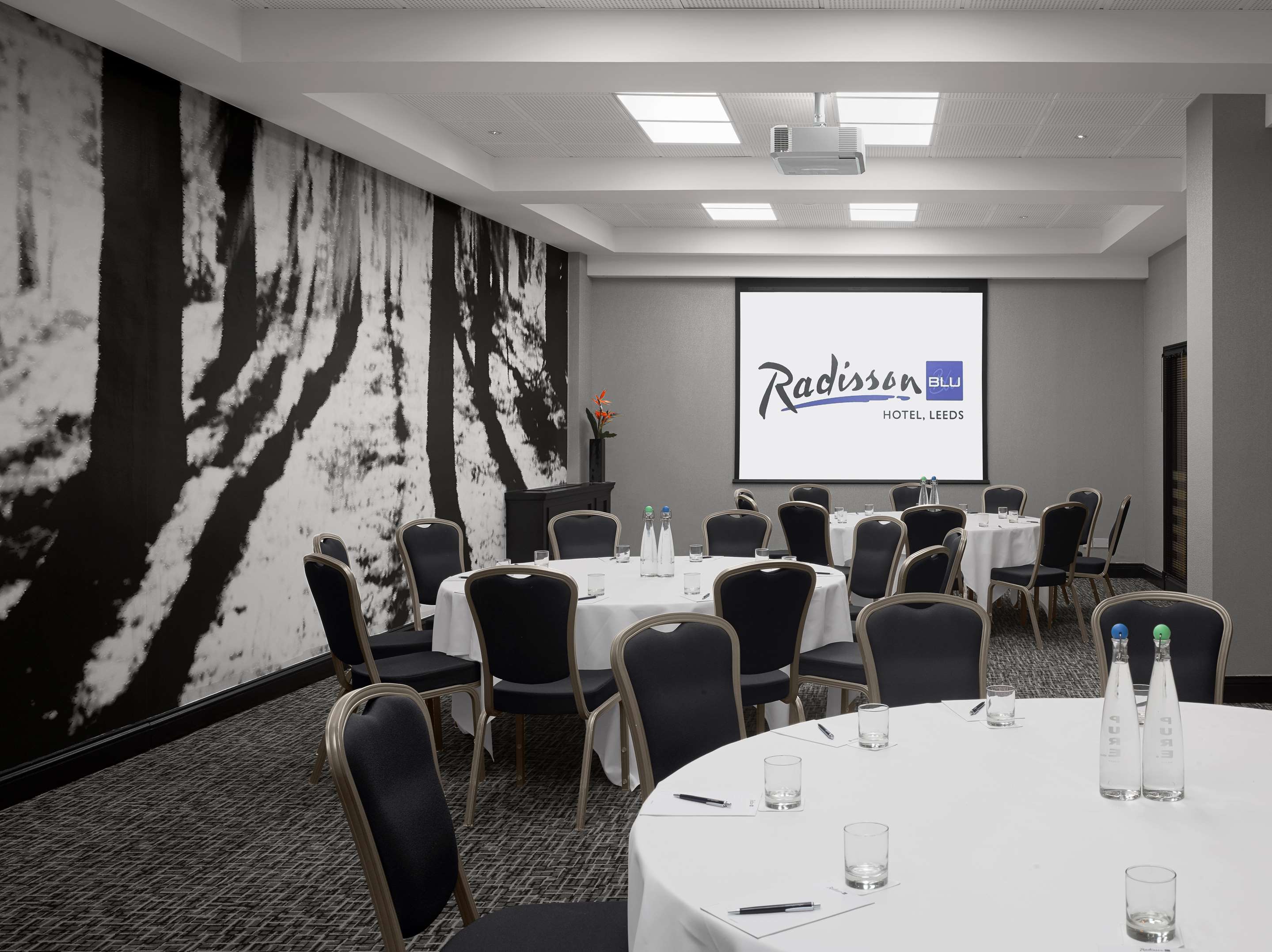 Radisson Blu Hotel, Leeds City Centre, Meeting room