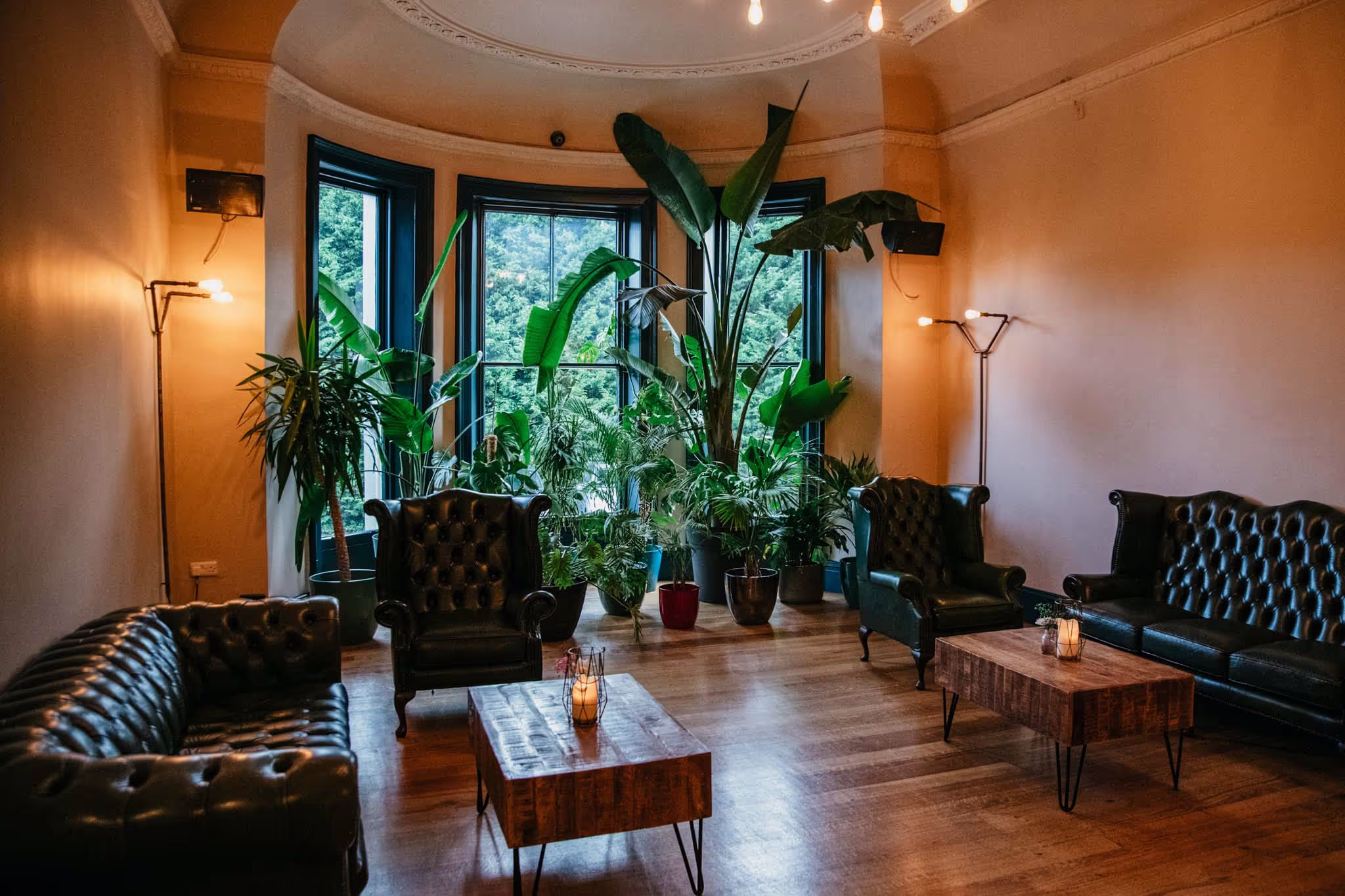 Faversham, The Lounge