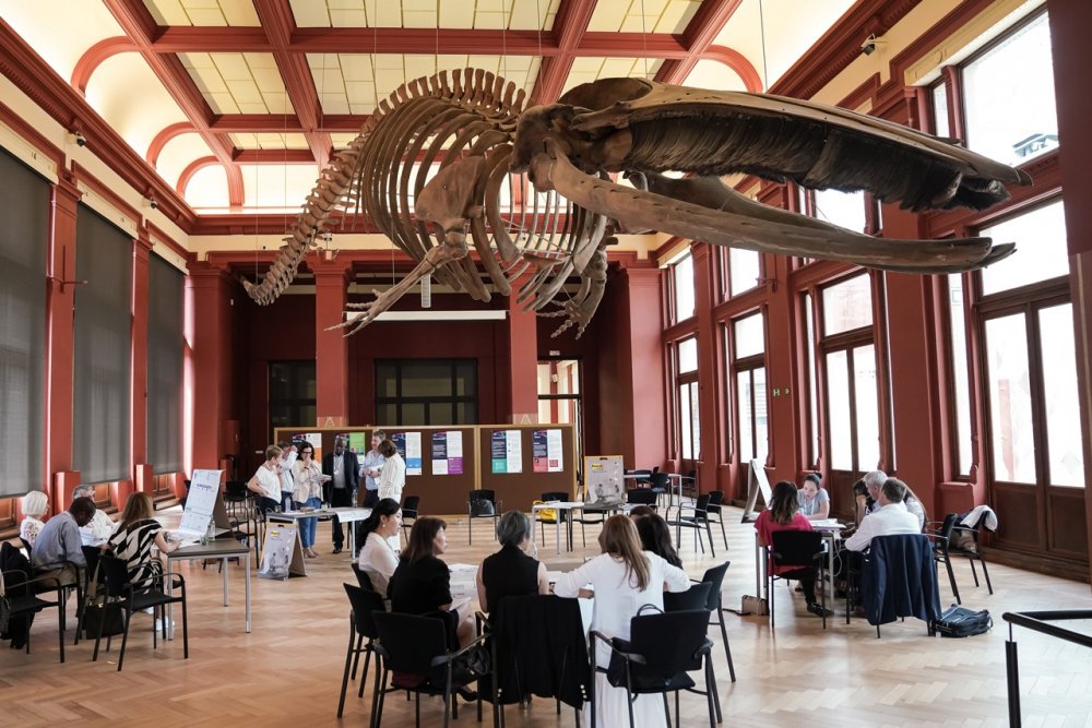 A Room with a Zoo