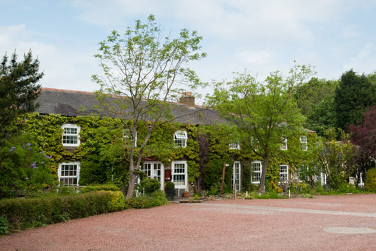Treebridge Hotel