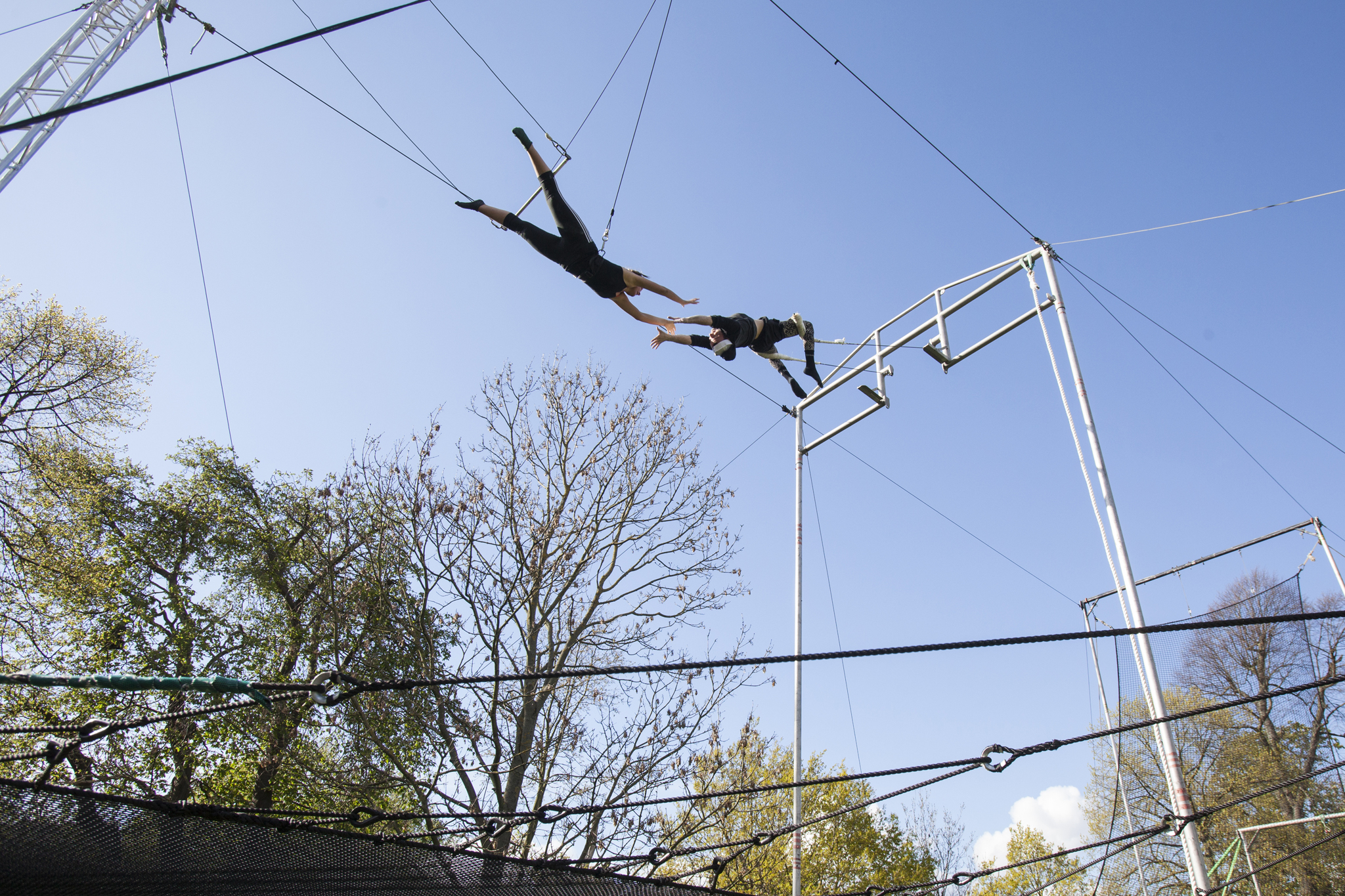 Gorilla Circus Flying Trapeze