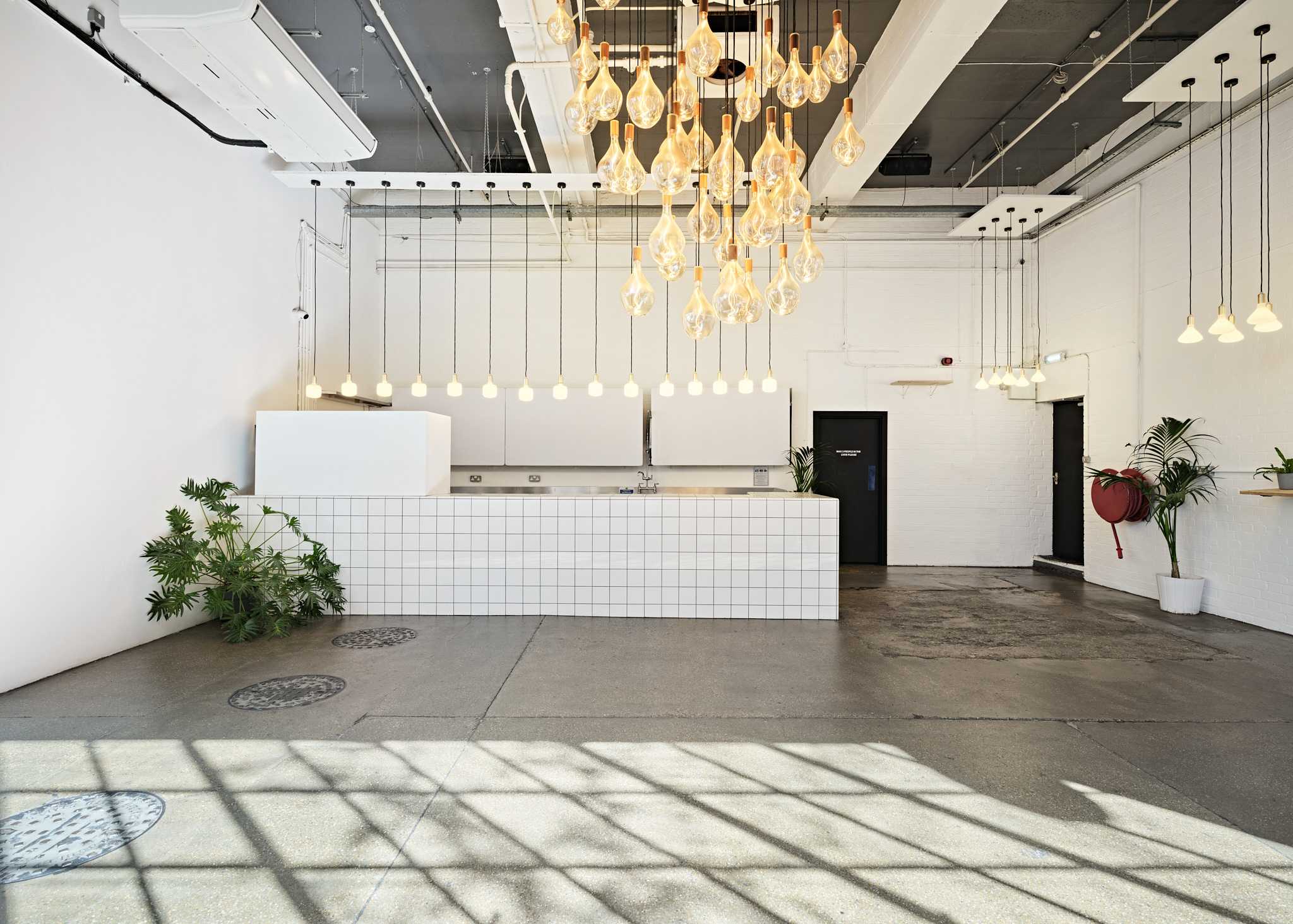 Protein Studios