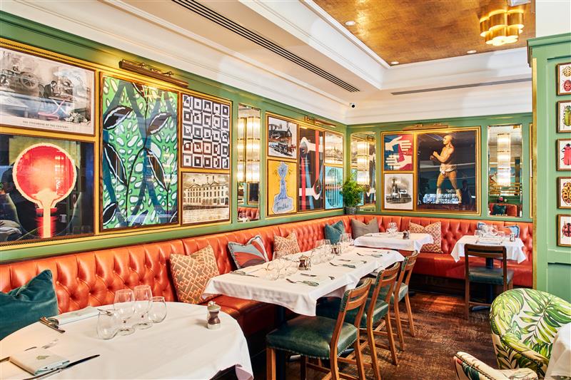 The Ivy Collection