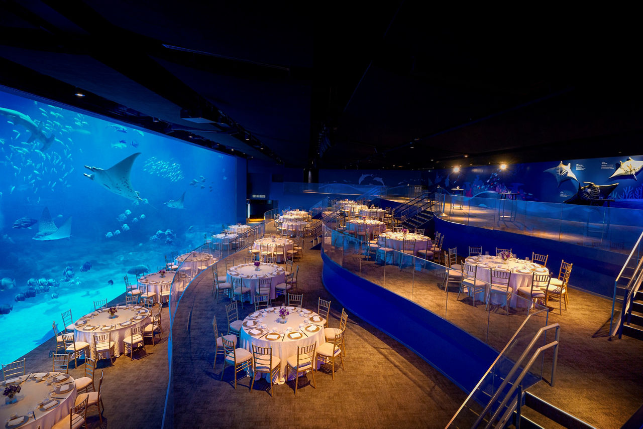 Singapore Oceanarium