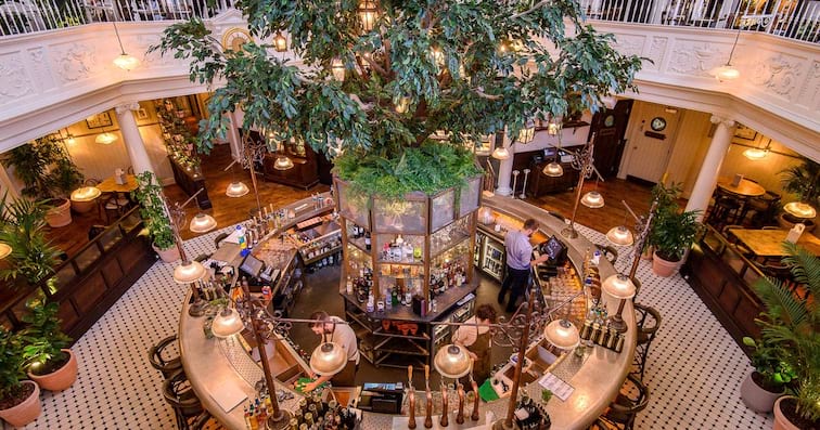 The Botanist