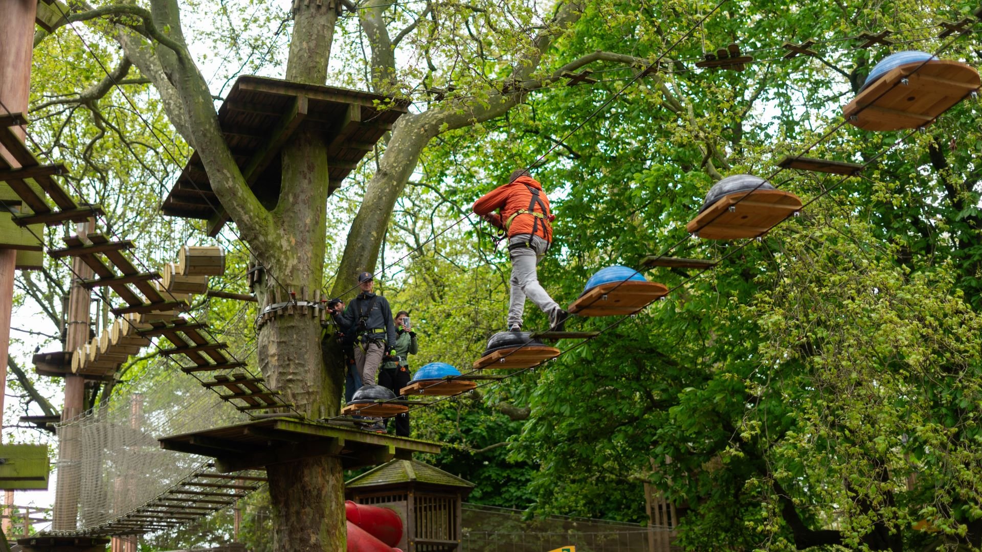 Go Ape Battersea