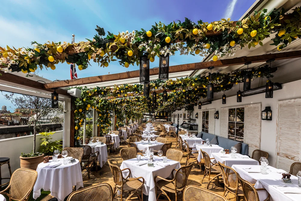 Alto by San Carlo