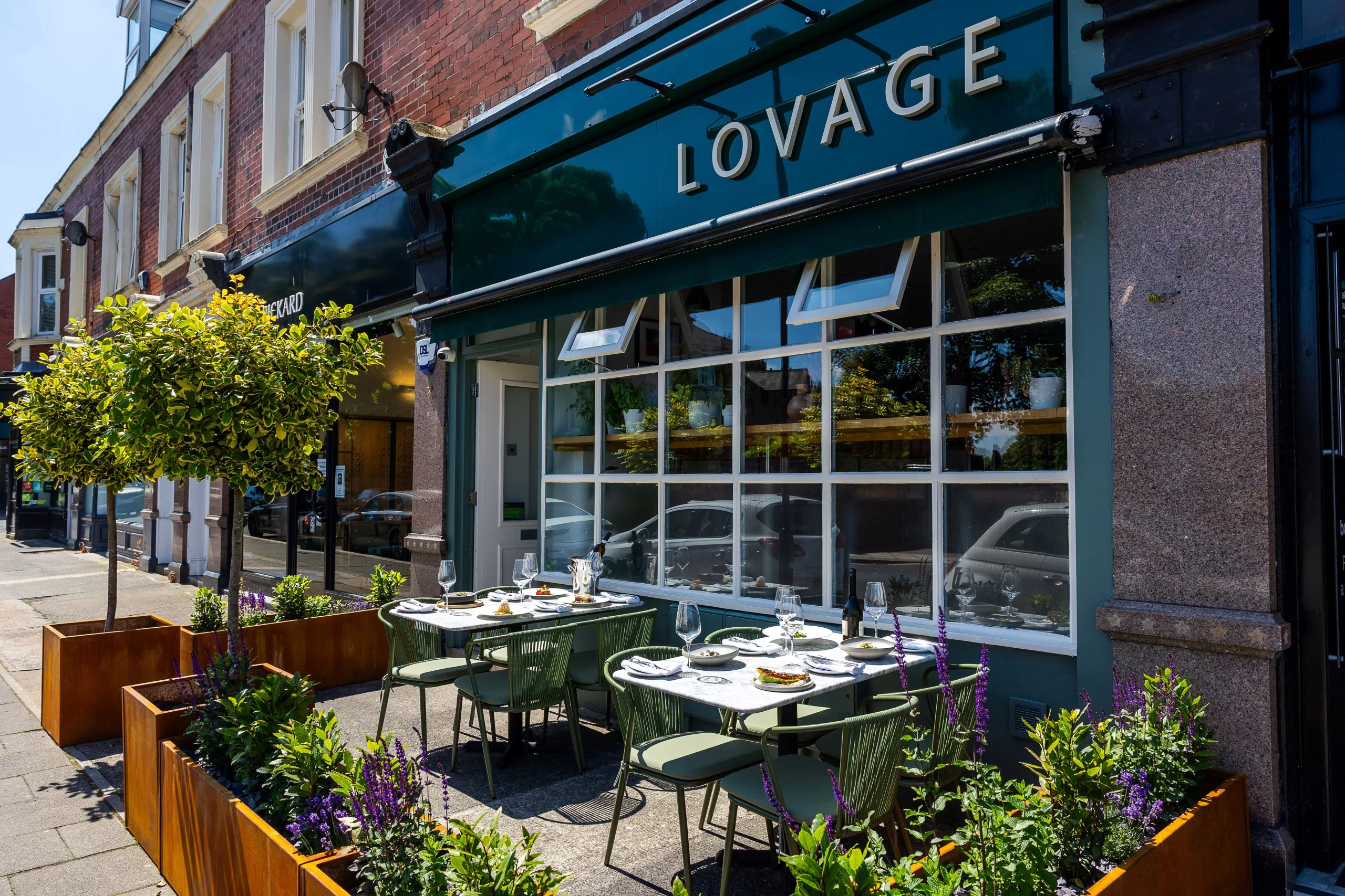 Lovage Jesmond