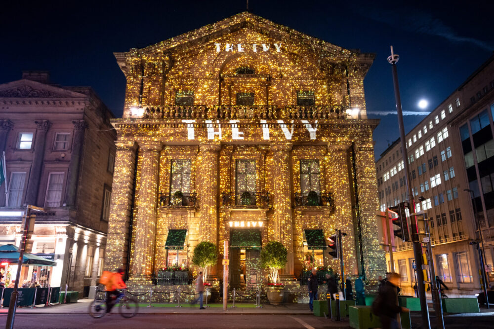 The Ivy