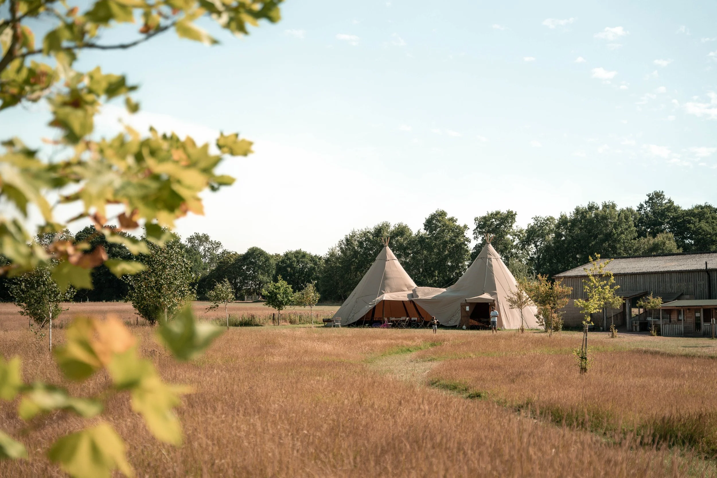 Home Farm Glamping