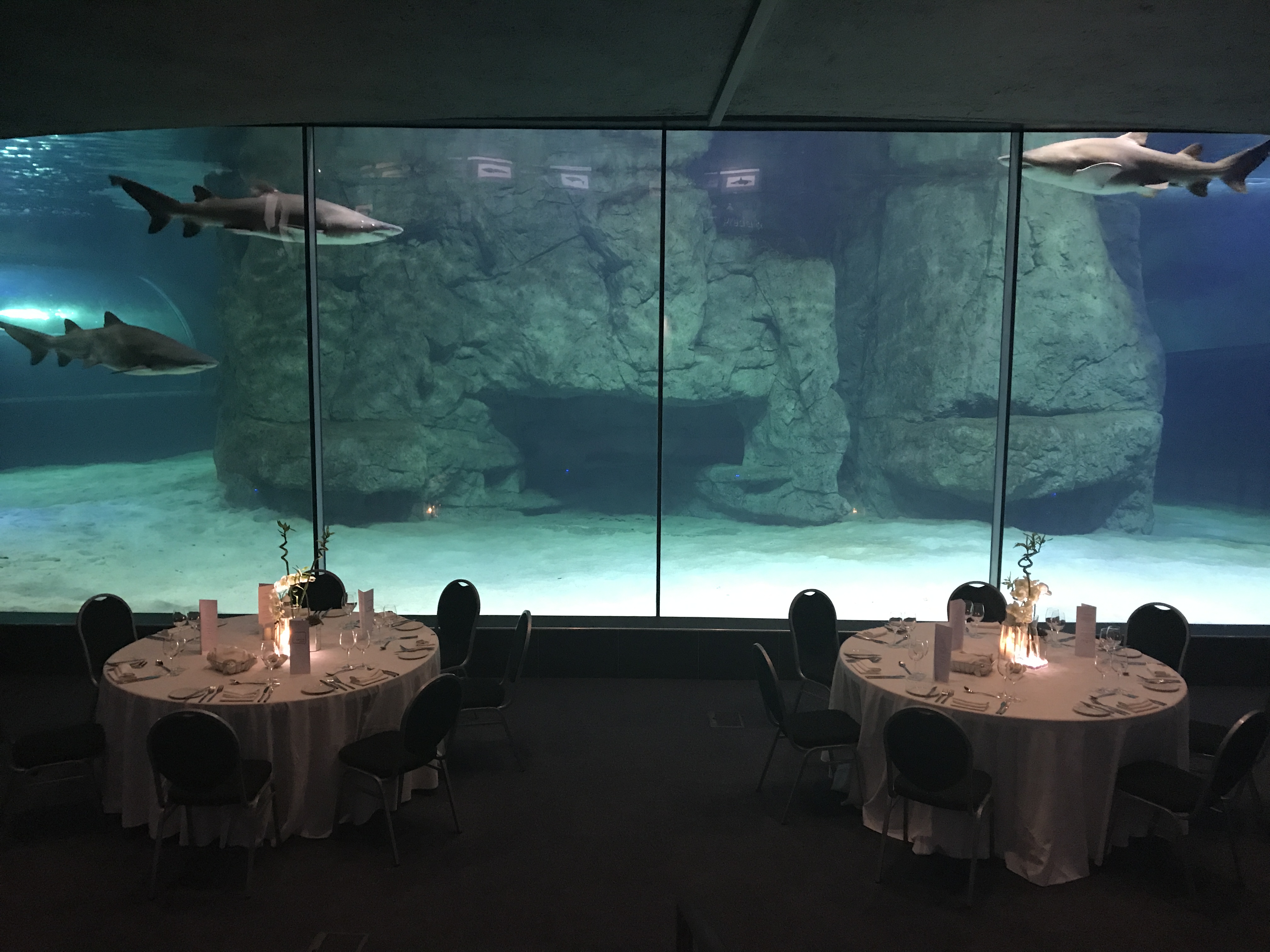 Two Oceans Aquarium